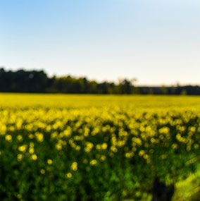 全面的創(chuàng)意和技術(shù)專(zhuān)長(zhǎng)