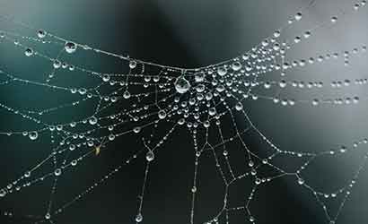 2024年10月：來(lái)自移動(dòng)設(shè)備的互聯(lián)網(wǎng)流量